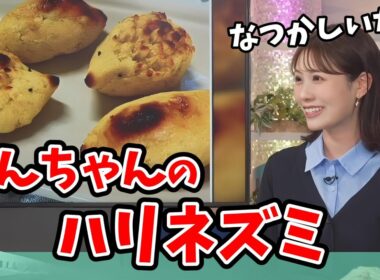 【戸北美月】スイートポテトのリポートを見てのんちゃんのハリネズミを思い出すみーちゃん【ウェザーニュース切り抜き】