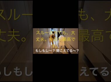 柴犬に癒されて！ #柴犬　#パピヨン