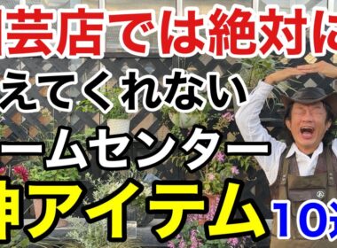 【盲点】コスパ最高でガーデニングにガンガン使える神アイテム教えます　　　　　【カーメン君】【園芸】【ガーデニング】【初心者】