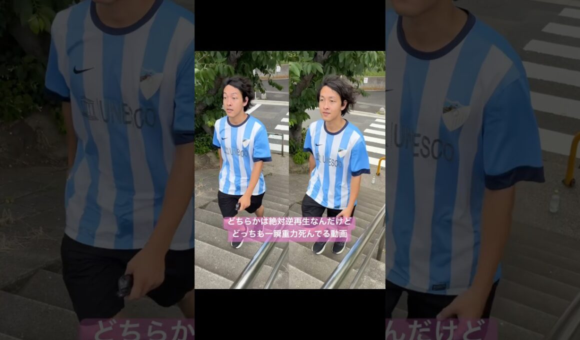 どっちが逆再生かよくわからん動画。#逆再生