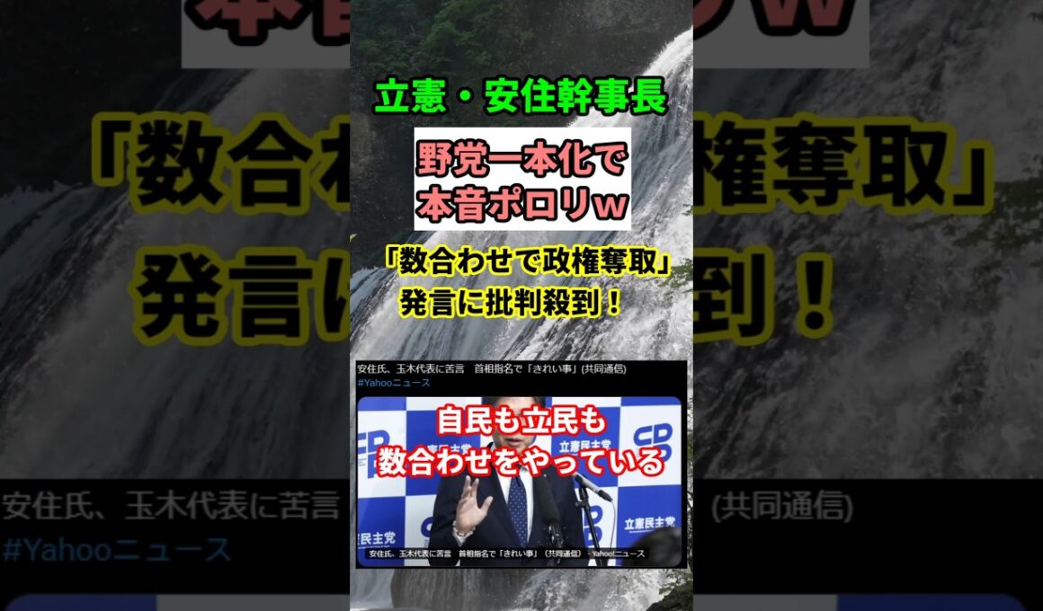 【激怒】立憲・安住氏が玉木代表にブチ切れ！「数合わせは当たり前」の衝撃発言！　#shorts