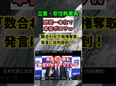 【激怒】立憲・安住氏が玉木代表にブチ切れ！「数合わせは当たり前」の衝撃発言！　#shorts