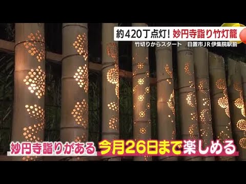 妙円寺詣り竹灯籠　約420丁点灯！　竹切りからスタート　鹿児島・日置市 (25/10/16 19:10)