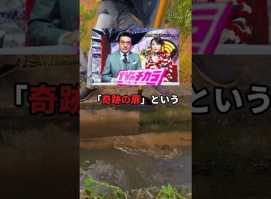 テレビ番組で解決した行方不明事件とは