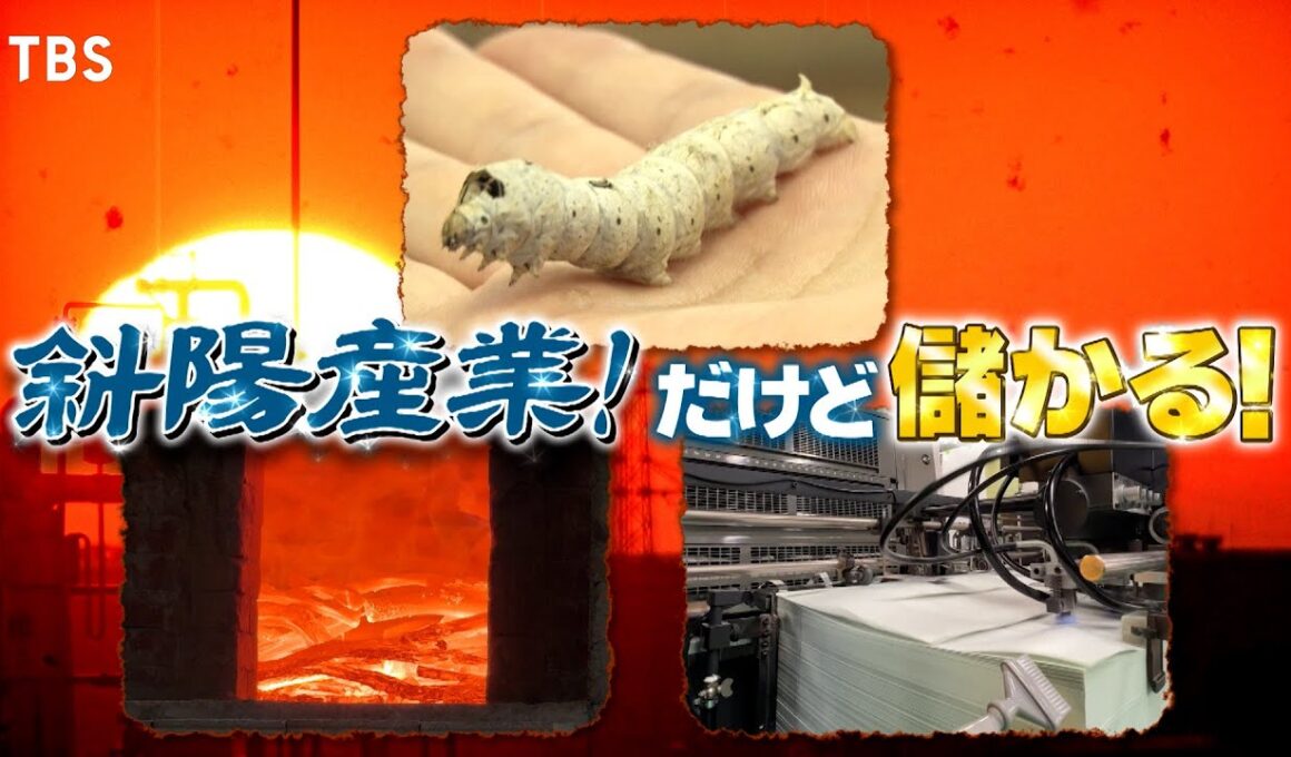 『がっちりマンデー!!』斜陽産業スター! 養蚕､炭焼き､印刷…ピンチ業界にチャンスあり 10/26(日)【TBS】
