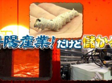 『がっちりマンデー!!』斜陽産業スター! 養蚕､炭焼き､印刷…ピンチ業界にチャンスあり 10/26(日)【TBS】