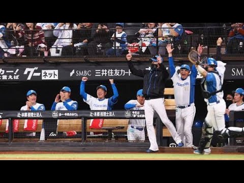 ✨新庄が泣いた夜――紺野あさ美も見た“奇跡の逆転”🏟️