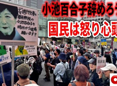 【小池百合子辞めろデモ】文春使って卑怯なさとうさおり潰し💢消費税脱税！移民推進！メガソーラー大反対🔥 2025/10/19 新宿駅南口  #移民反対 #小池百合子