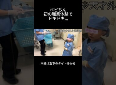 ベビちんはじめての職業体験