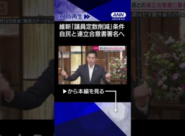 【ニュース】議員定数削減は衆院比例で調整　「死活問題」中小政党で高まる危機感 #shorts