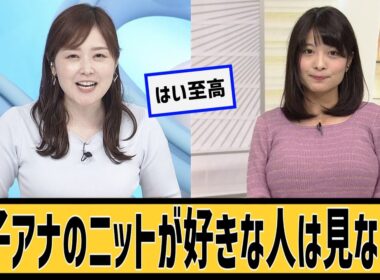 女子アナのニットが好きな人に対するネット民の反応#2ch#5ch#なんｊ#なんＧ