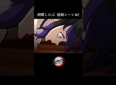【鬼滅の刃】柱稽古編・無限城編1話。童磨vs胡蝶しのぶ、感動シーンその2.【きめつのやいば】【アニメ】【鬼滅まとめ】