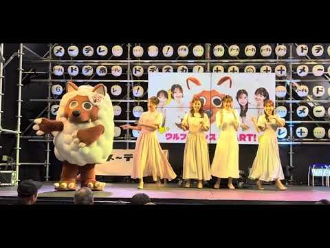 メーテレドデ祭り2025 ウルフィーダンス