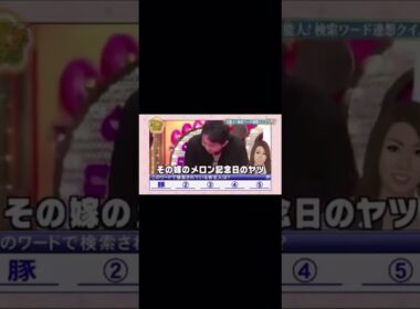 クイズタレント名鑑    ありったけのイカ