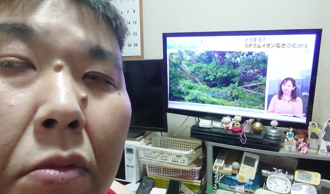 ｺﾑﾗｼｹﾞﾕｷ＼宇賀神ﾒｸﾞ＼ﾊﾝﾃﾞｨﾌｧﾝ＼