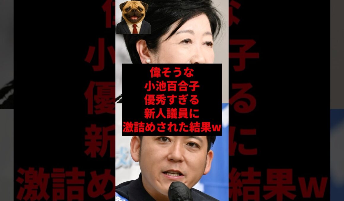 偉そうな小池百合子優秀すぎる新人議員に激詰めされた結果w