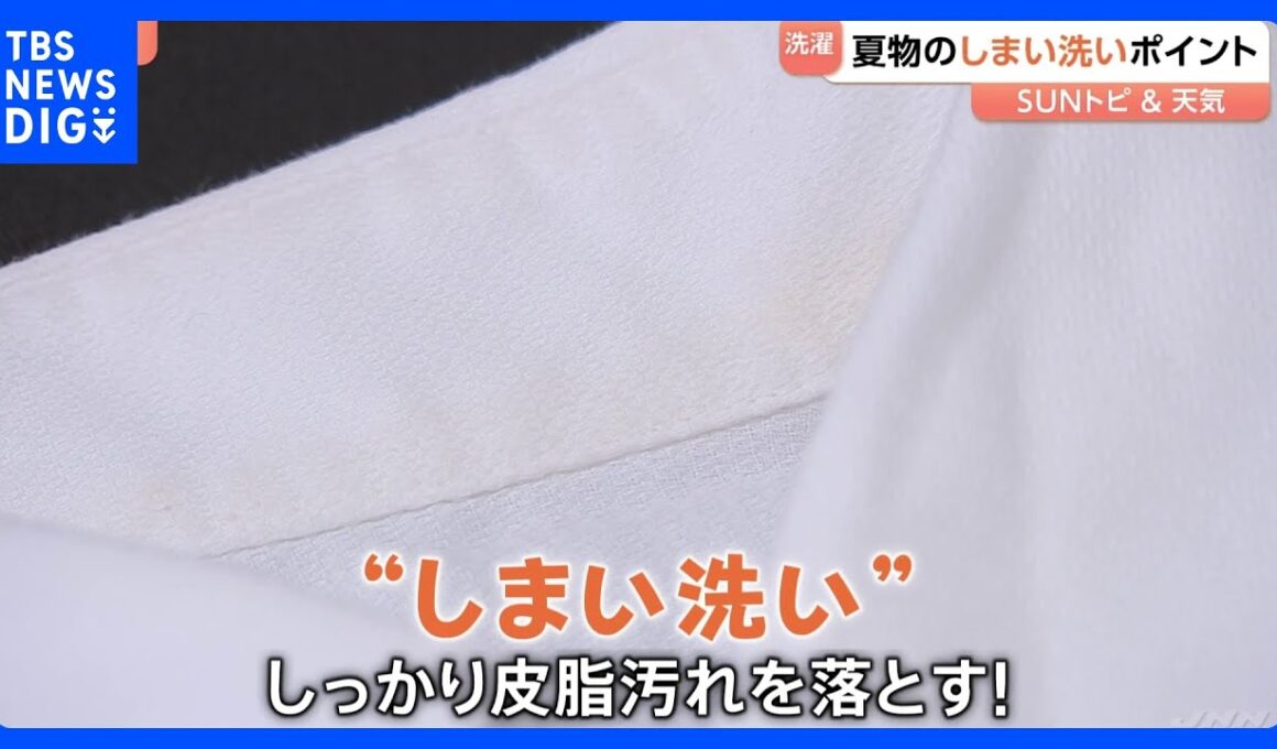 衣替え！夏服から秋服へ、夏物のしまい洗いのポイント【SUNトピ】｜TBS NEWS DIG