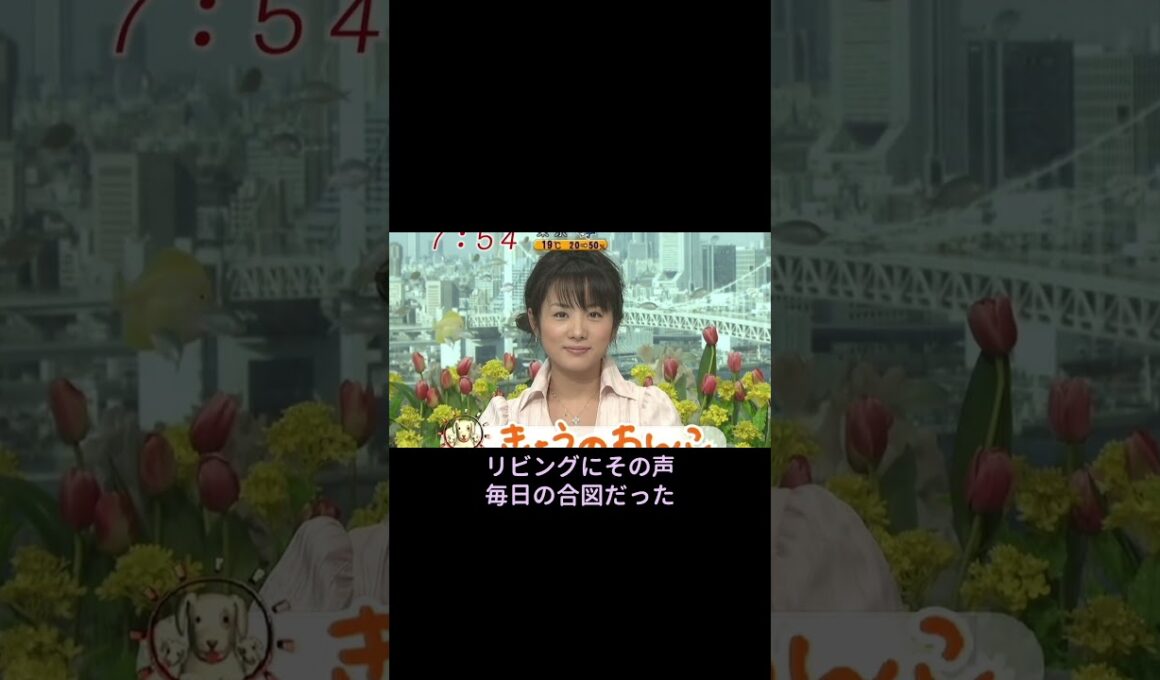 【2004年】高島彩。あの朝、テレビはもっと明るかった。