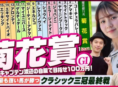 【菊花賞】クラシック三冠最終戦をガチ予想『キャプテン渡辺の自腹で目指せ100万円！』冨田有紀＆三嶋まりえ