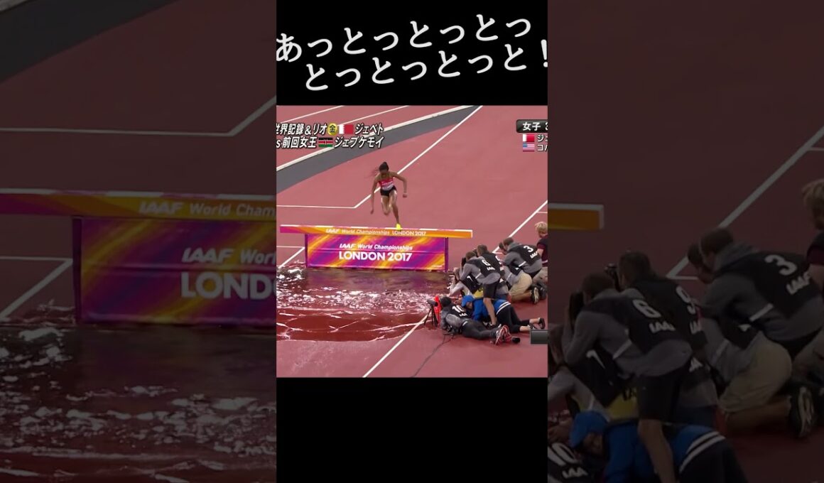 あっとっとっとっとっとっとっと！【世界陸上ロンドン2017／女子3000m障害決勝】