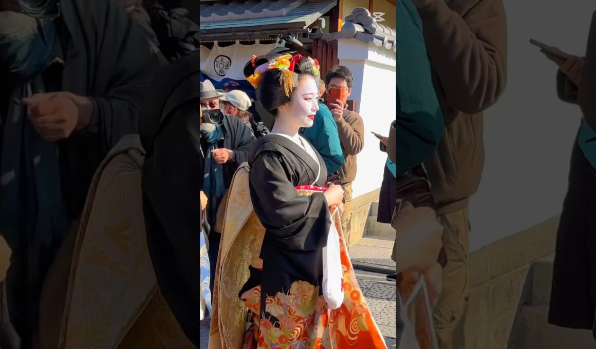 トップ1の(祇園)舞妓さん⁉️So Beautiful Maiko in Gion カメラマンに大注目🎬#shortsfeed #shorts #舞妓#芸妓