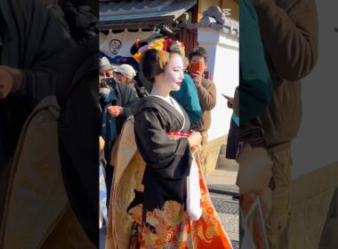 トップ1の(祇園)舞妓さん⁉️So Beautiful Maiko in Gion カメラマンに大注目🎬#shortsfeed #shorts #舞妓#芸妓