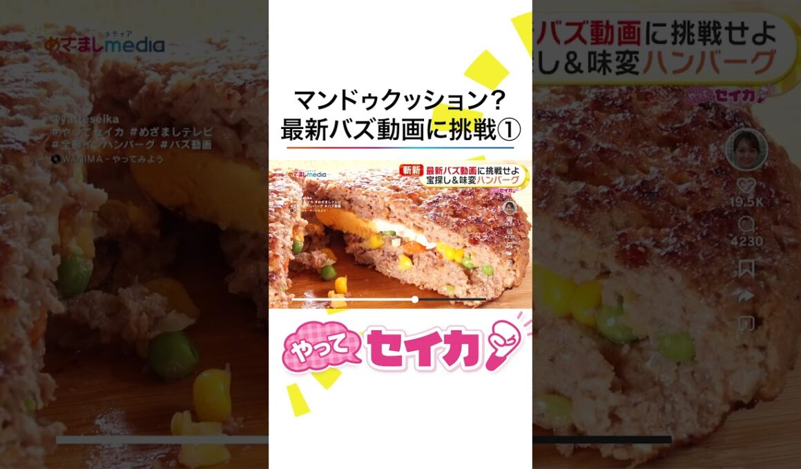 #井上清華 アナが #味変ハンバーグ #マンドゥクッション など最新バズ動画に挑戦！ #めざましテレビ #やってセイカ