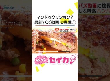 #井上清華 アナが #味変ハンバーグ #マンドゥクッション など最新バズ動画に挑戦！ #めざましテレビ #やってセイカ
