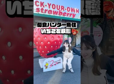 【クリスマス】旬食ハンターウオズミーいちごを狩る編 #shorts #クリスマス  #イチゴ  #魚住茉由   #ゴルゴ13  #旬な食材
