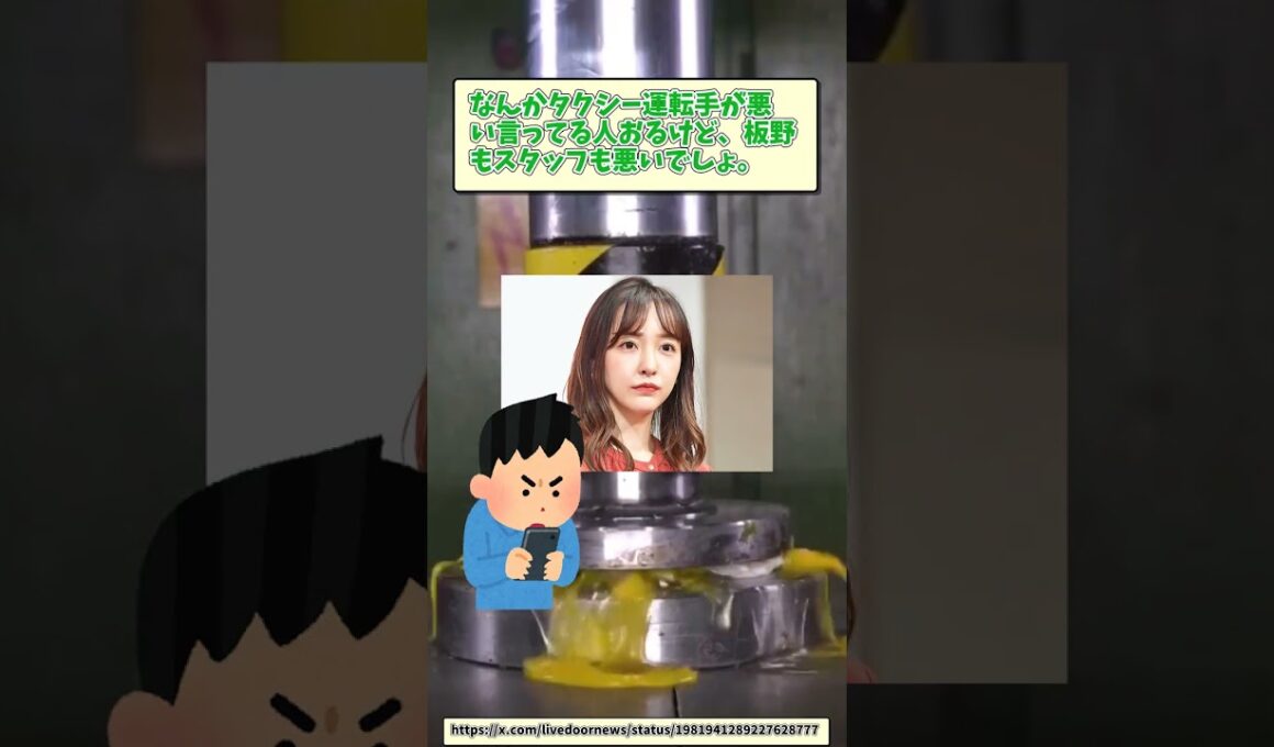 【時事ニュース】タクシーで降ろされた板野友美【反応集】#ニュース #2ch #反応集