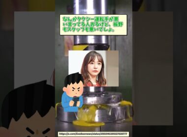 【時事ニュース】タクシーで降ろされた板野友美【反応集】#ニュース #2ch #反応集