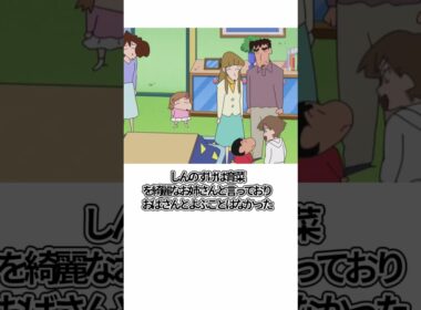 クレヨンしんちゃん　野原せましと野原育菜について　#shorts ＃クレヨンしんちゃん