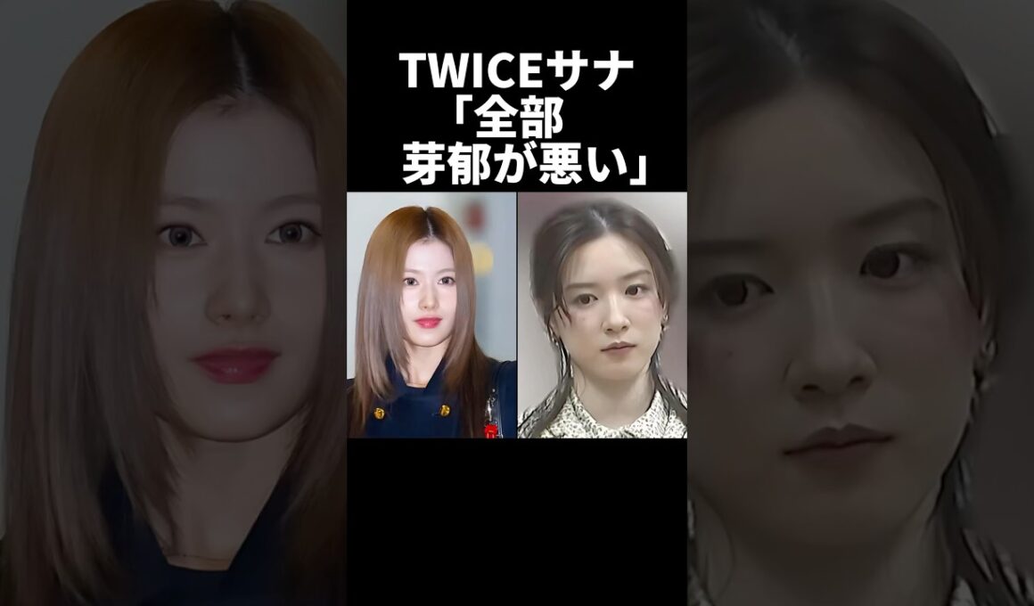 ㊗️300万再生！TWICEサナ、全部芽郁が悪いよ...