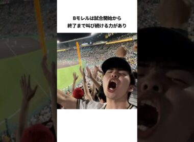全力絶叫YouTuber・Bモレルの面白エピソード#野球ネタ #野球解説 #プロ野球 #モレル