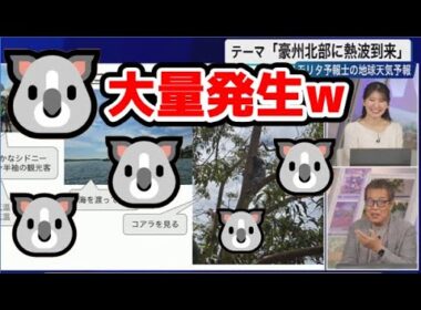 【駒木結衣・森田清輝】🐨🦍っ「🐨大量発生w (ツベコメ有り)」