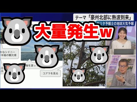 【駒木結衣・森田清輝】🐨🦍っ「🐨大量発生w (ツベコメ有り)」