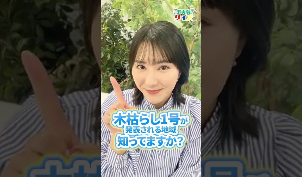 【お天気クイズ】木枯らし1号が発表される地域は？　#通勤タイパ #白井ゆかり #クイズ