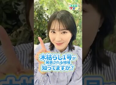 【お天気クイズ】木枯らし1号が発表される地域は？　#通勤タイパ #白井ゆかり #クイズ