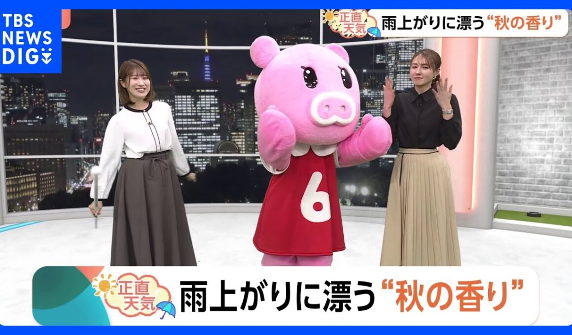 【10月28日 関東の天気】雨上がりに漂う“秋の香り”｜TBS NEWS DIG