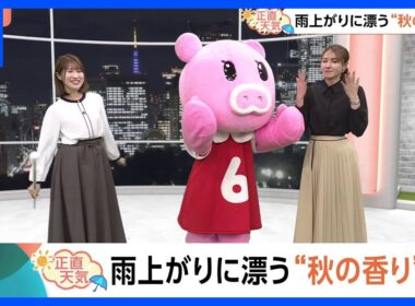 【10月28日 関東の天気】雨上がりに漂う“秋の香り”｜TBS NEWS DIG