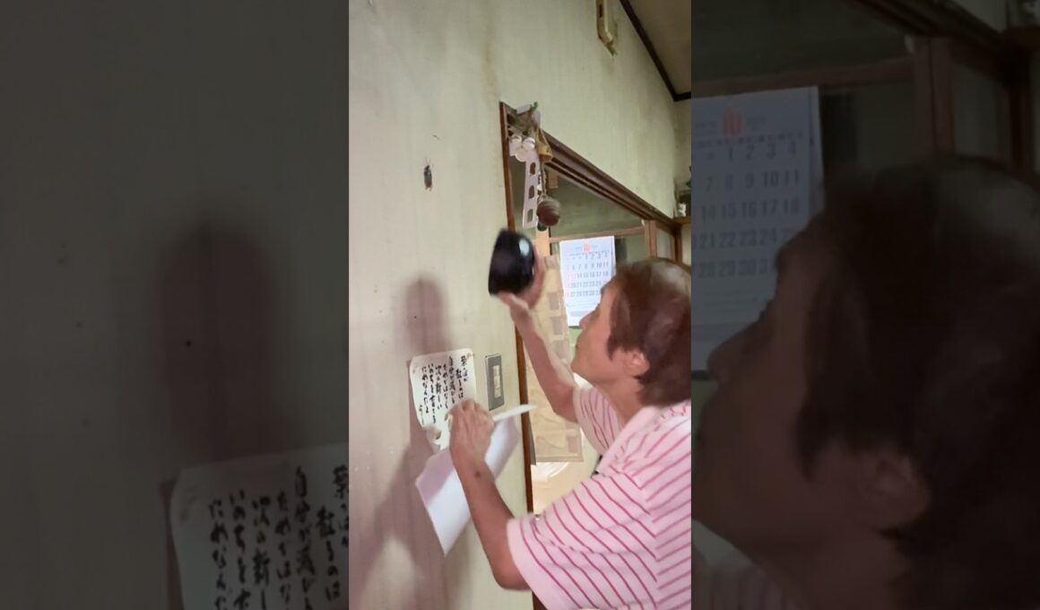 【G退治🪳】最後まで見てw#中西家の日常 #爆笑#日常 #おすすめ#YouTube#shorts