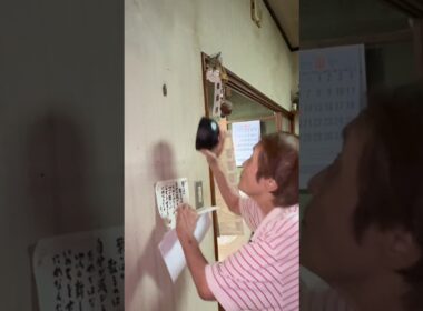 【G退治🪳】最後まで見てw#中西家の日常 #爆笑#日常 #おすすめ#YouTube#shorts