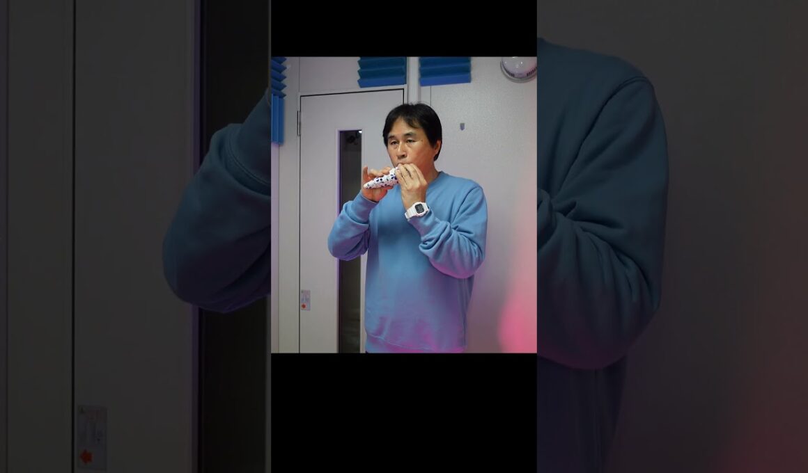 初恋のメロディー／小林麻美（関稔オカリナ演奏 #covermusic #music #オカリナ