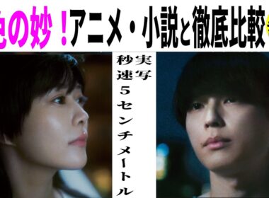 💁‍♀️【解説】並の実写化じゃない 脚色と踏襲の妙とは？ 松村北斗主演【秒速５センチメートル 】レビュー ＃映画感想 #映画紹介 #うるりこ Ep.129