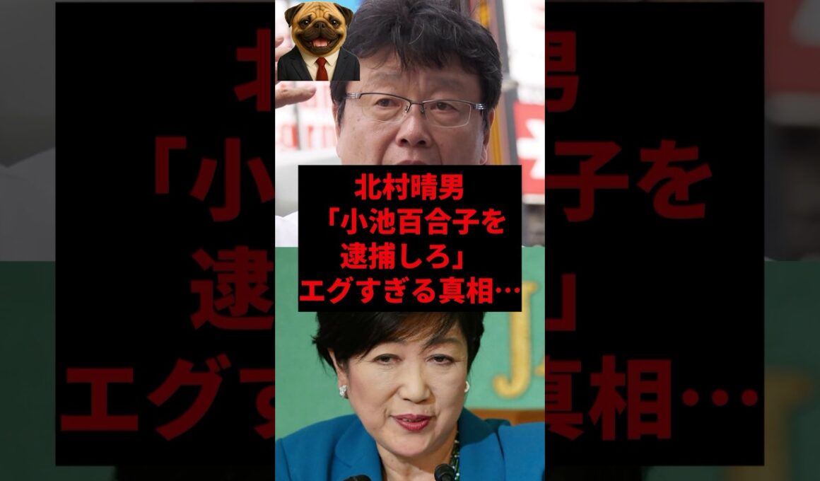 北村晴雄「小池百合子を逮捕しろ」エグすぎる真相...