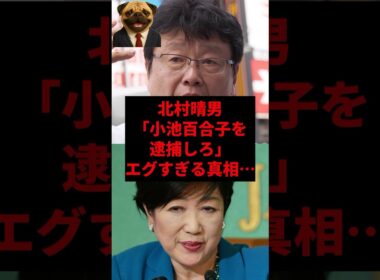 北村晴雄「小池百合子を逮捕しろ」エグすぎる真相...