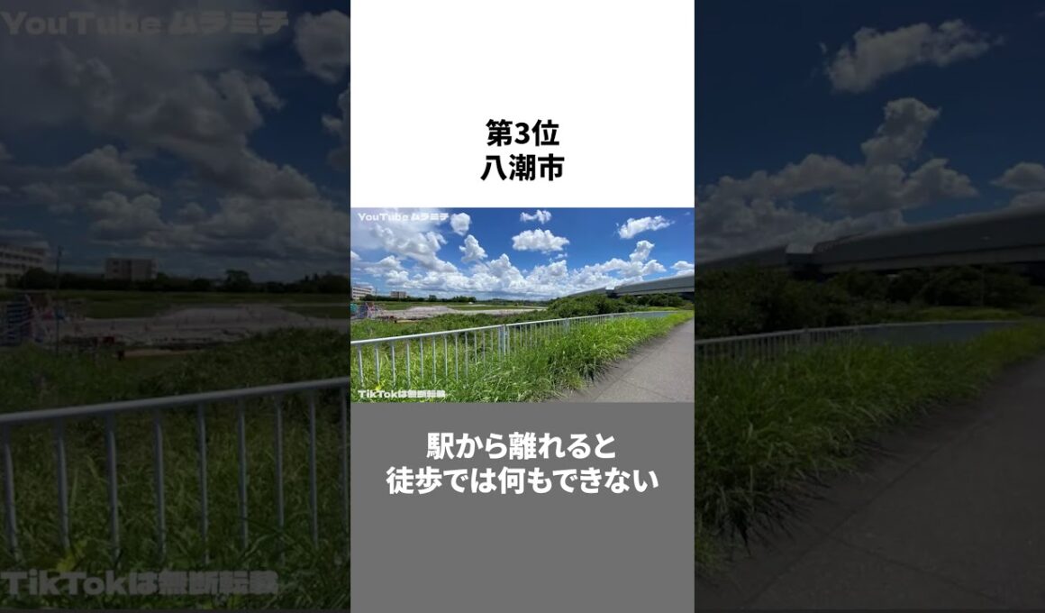 埼玉県の住みたくない街ランキングTOP5 #川口市 #やばい #悪いところ #治安 #shorts