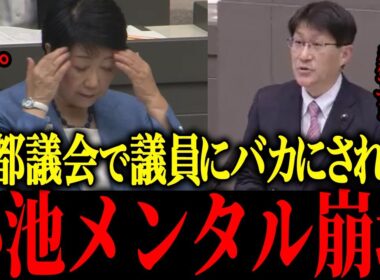 【小池百合子】※小池都議会で爆笑され、プライドズタボロ【佐藤沙織里 消費税 東京都議会本会議】