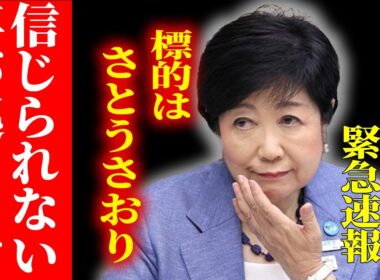 ※地上波では流れません…小池百合子がさとう潰しを始めました【さとうさおり/小池都知事】