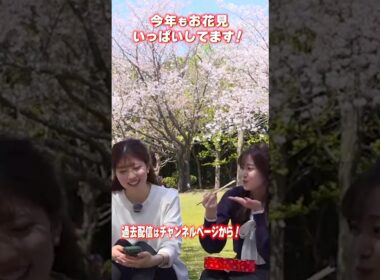 お花見配信ダイジェスト #山岸愛梨 #松雪彩花 #大島璃音 #小林李衣奈 #魚住茉由 #青原桃香